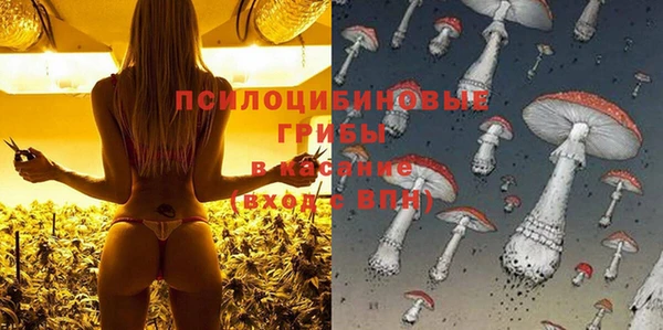 2c-b Баксан