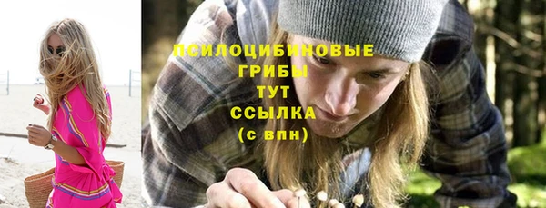 крисы Балахна
