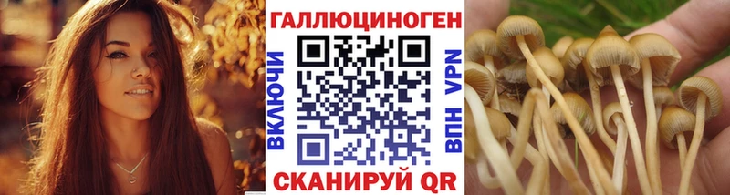хочу наркоту  Гремячинск  Псилоцибиновые грибы мицелий 