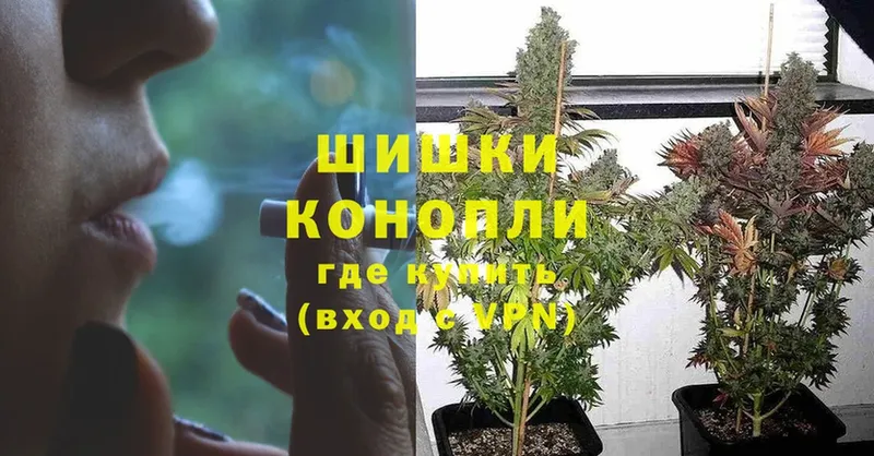 Бошки марихуана SATIVA & INDICA  Гремячинск 